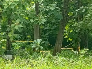 Benarkah Pemuda Tewas di Makam Raci Pelaku pencurian? Ini Penjelasannya