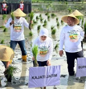 Wujud Dukung Progam Ketahanan Pangan, Kajati Jatim Mia Tanam Padi di Gresik