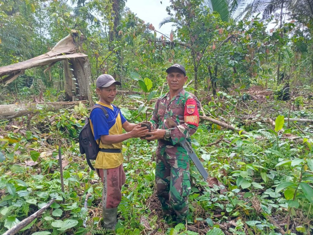 Satgas TMMD 125 Kodim 1506/Namlea Tanam 10 Ribu Bibit Pohon Keras