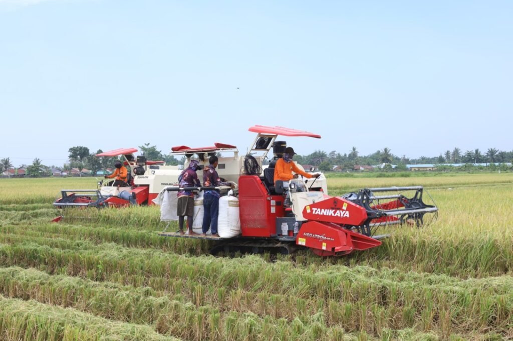Gugus Tugas Kedaulatan Pangan TNI, Perkuat Ketahanan dan Kemandirian Bangsa