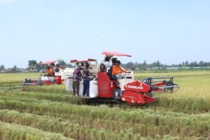 Gugus Tugas Kedaulatan Pangan TNI, Perkuat Ketahanan dan Kemandirian Bangsa