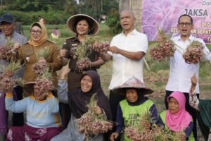 JAM Intel Dukung Ketahanan Pangan, Hadiri Panen Raya Bawang Merah di Tangerang