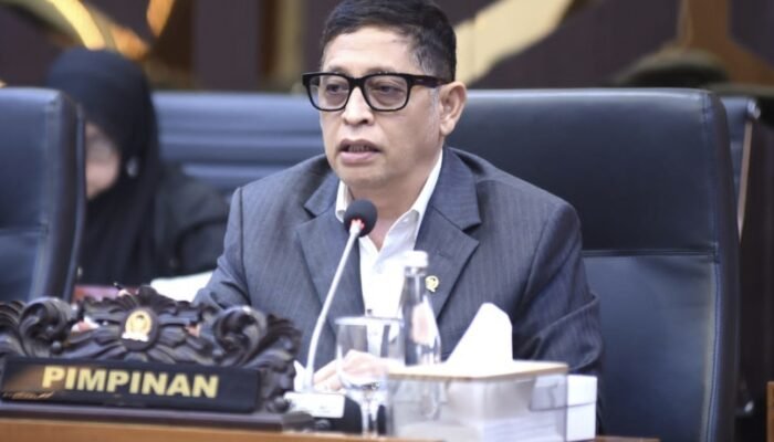 Rapat Panja Baleg DPR RI, 12 Rekomendasi Tim Ahli Terkait RUU Pelindungan Saksi dan Korban