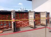 Polda Jatim Bongkar Bawang Bombay Ilegal dari Kalimantan Tengah