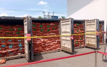 Polda Jatim Bongkar Bawang Bombay Ilegal dari Kalimantan Tengah