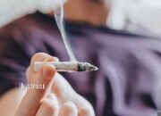 Diamankan Usai Dugem, Diduga Tiga Oknum Kurator Dilepas Dengan Nominal Ratusan Juta