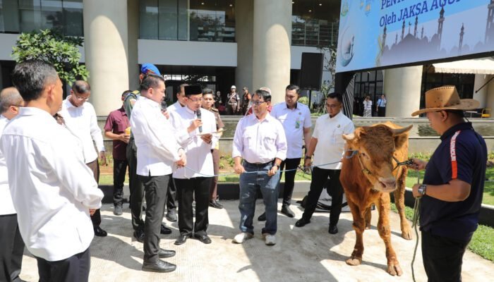 Jaksa Agung Serahkan 1 Sapi Limousin untuk Forwaka, Baren: Wujud Nyata Kepedulian Insan Adhyaksa