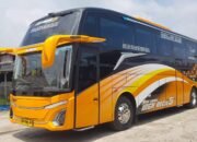 Tips Cerdas Sewa Bus Wisata Sekolah: Liburan Seru, Rombongan Aman dan Tenan