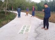 Paradoks Jalan Swadaya dan Ancaman Sistem Transportasi Nasional