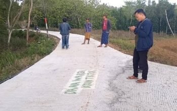 Paradoks Jalan Swadaya dan Ancaman Sistem Transportasi Nasional