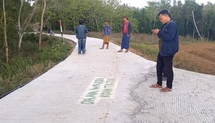 Paradoks Jalan Swadaya dan Ancaman Sistem Transportasi Nasional