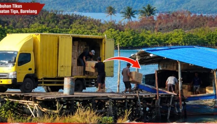 BC Batam Berjanji Tindak Tegas Dugaan Penyelundupan di Jembatan 3 Barelang dan Peredaran Rokok Ilegal